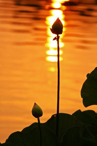 交锋未胜，快船队寻找突破口