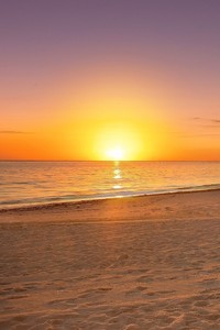 阿联酋队在亚洲联赛中遭遇两连败