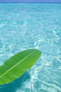 烈火队实现逆转，赢得精彩比赛