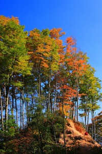骑士横扫篮网，东部决赛大胜取胜