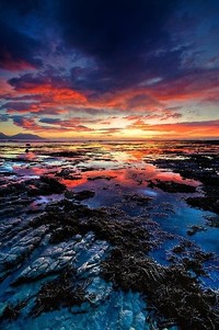 卡塔尼亚主场遗憾失利，伤感告别