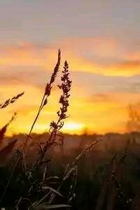 四川队主场不敌辽足，遗憾失利